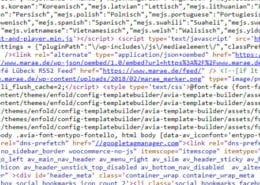Saubere Technik als Wettbewerbsvorteil Internetagentur Guide Teil 1 - Technik